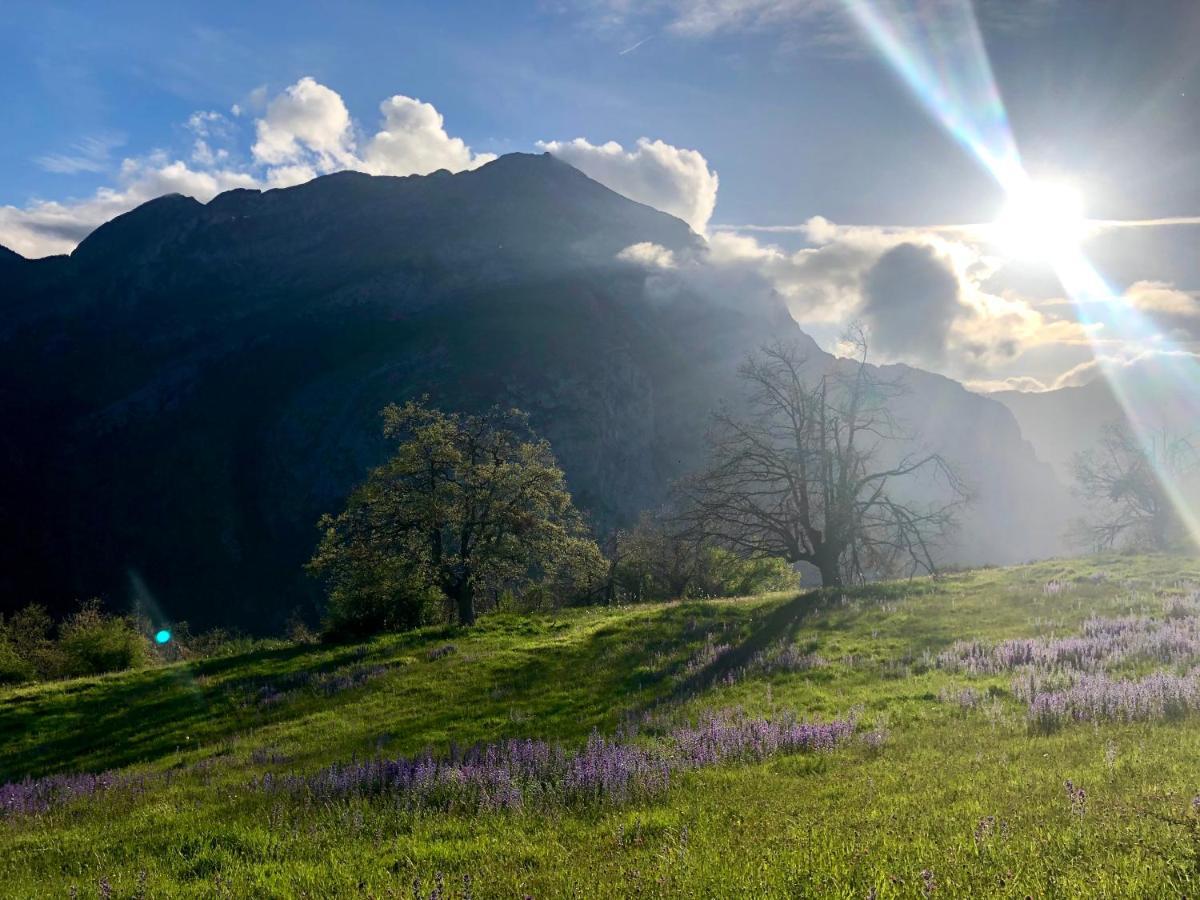 Hotel La Cuna Del Sella Oseja de Sajambre Dış mekan fotoğraf